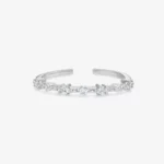 Polar-Ring