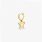 Stern-Charm