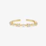 Polar-Ring